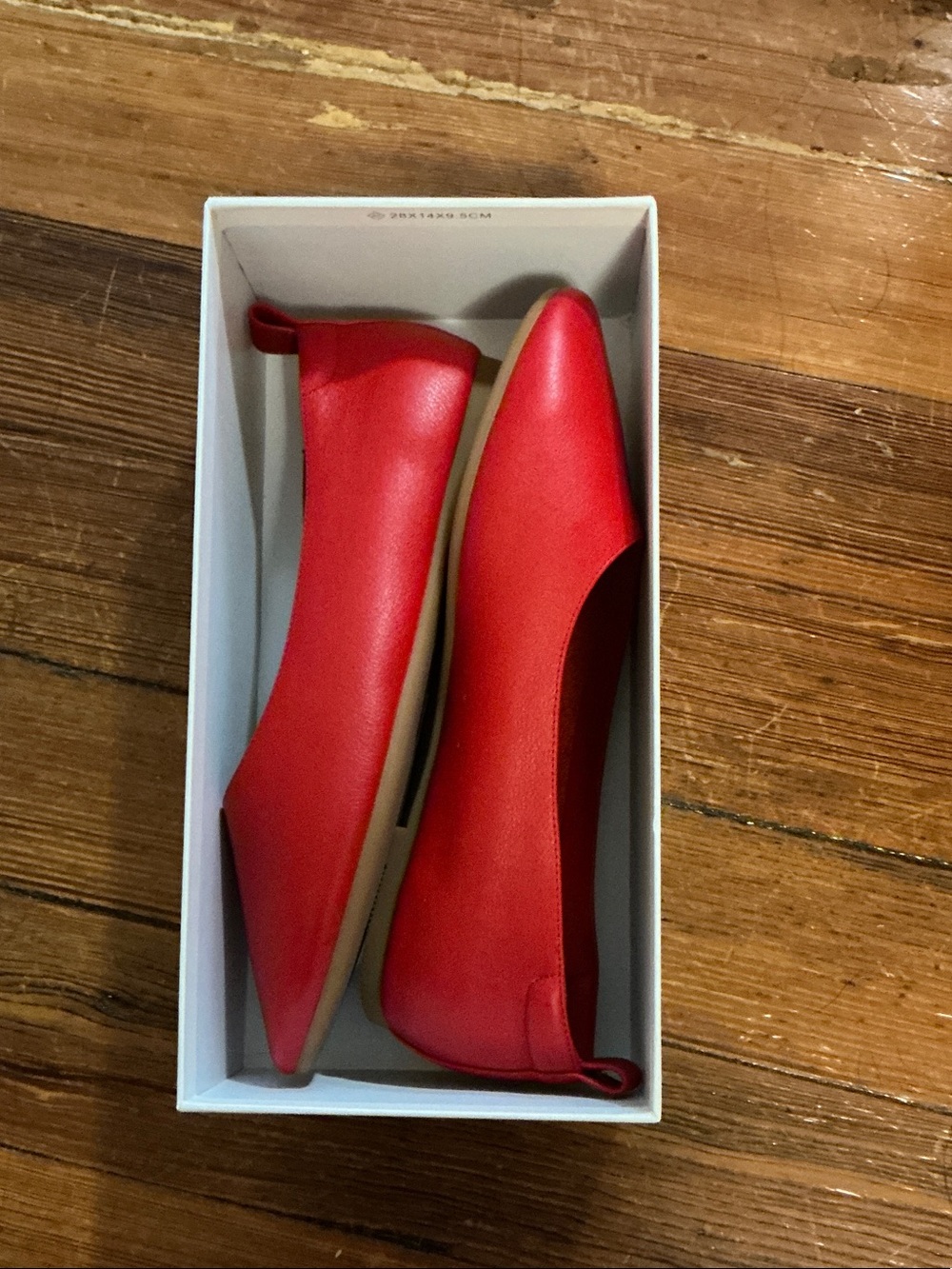 Quince Red Pointed-Toe Ballet Flats